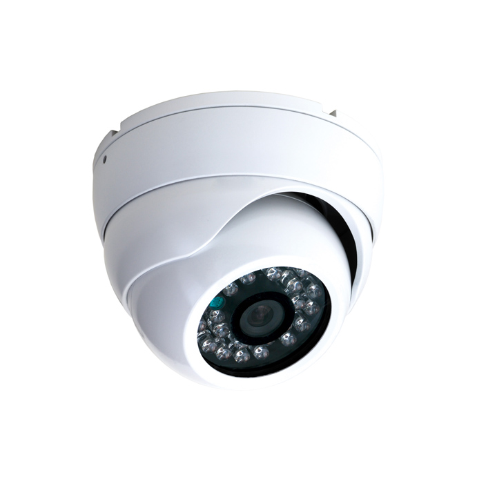 Video Surveillance Ip Security Camera FLPLDP20H130A